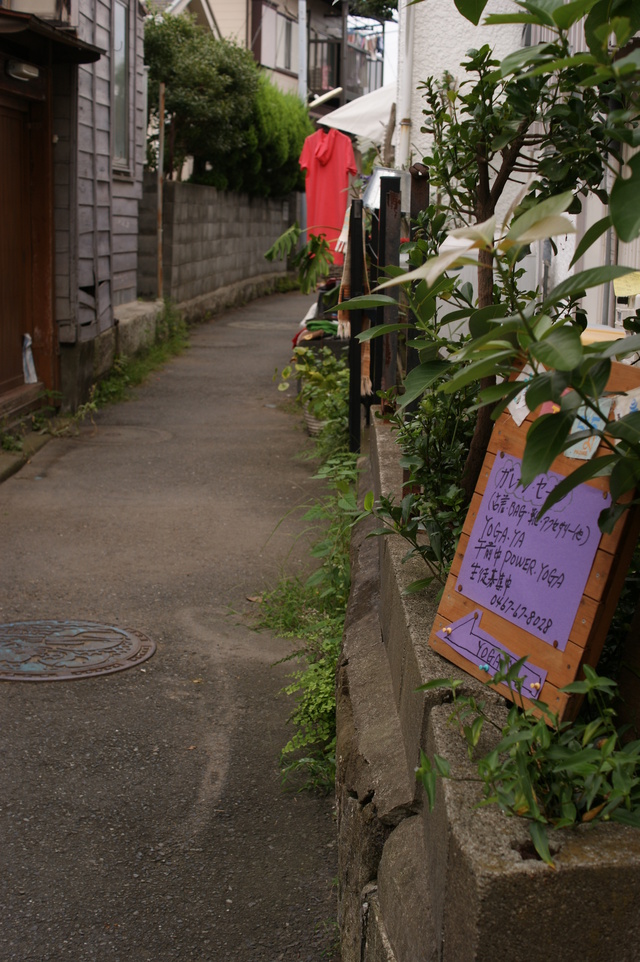 a0318033_0522926.jpg
