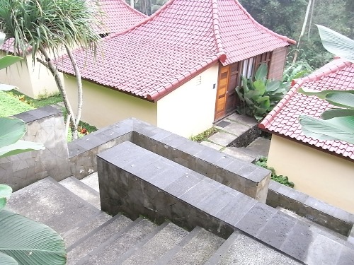 e0039033_1331666.jpg