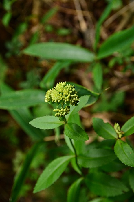 b0236334_19114212.jpg