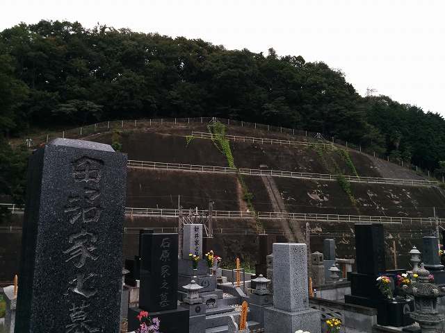 f0208737_8112922.jpg
