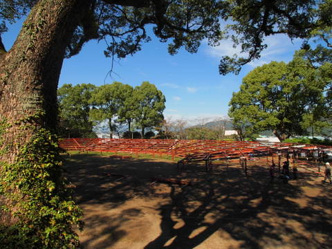 b0199742_20473927.jpg