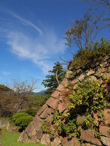b0199742_20491096.jpg