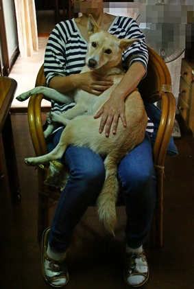 f0195543_2125437.jpg