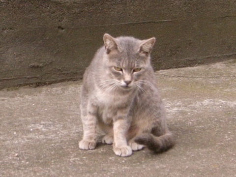 e0138549_16224155.jpg