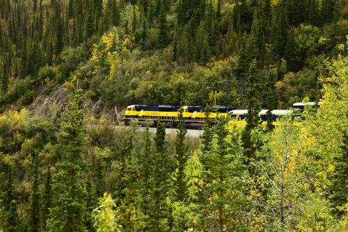 b0243152_61137.jpg