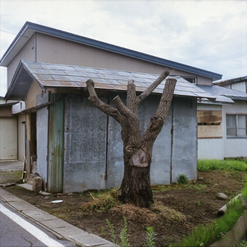 d0169755_17313100.jpg