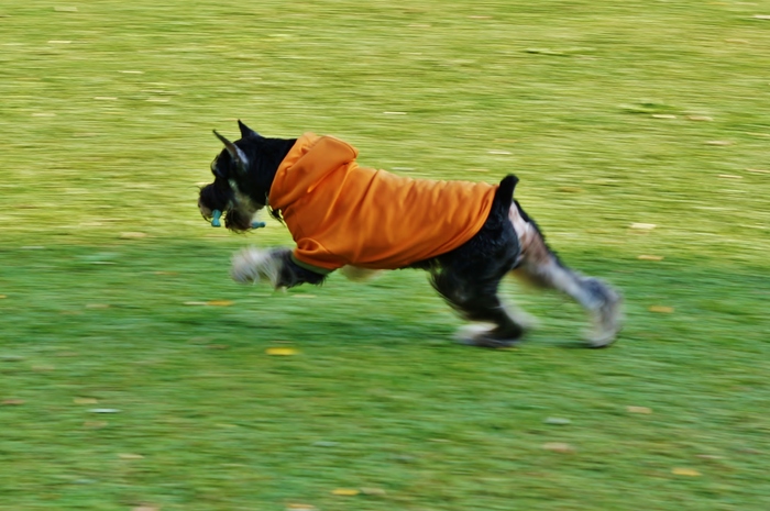 a0267860_19534452.jpg