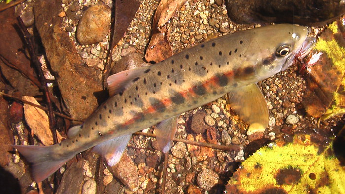 b0208961_1644261.jpg