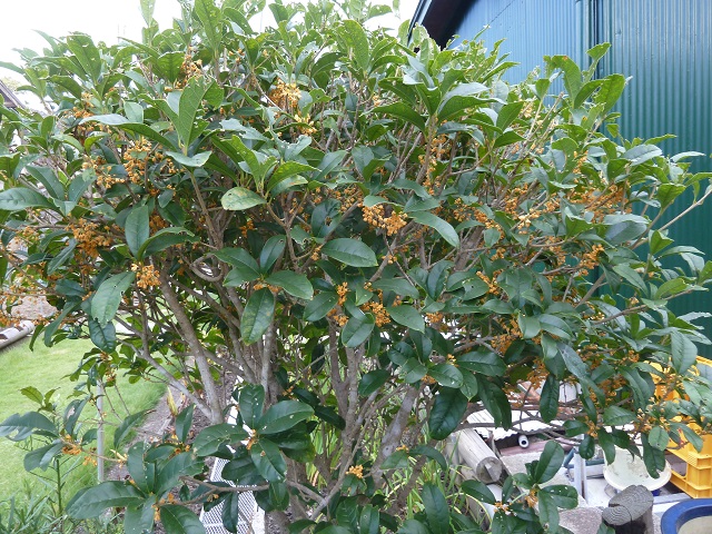 e0278968_22104639.jpg