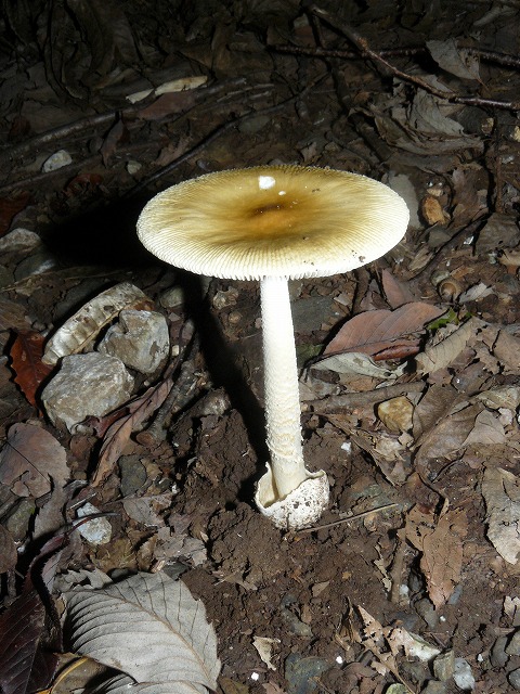 d0019074_8331842.jpg