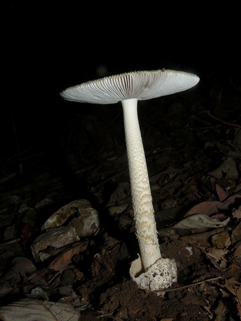 d0019074_844078.jpg