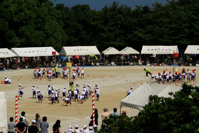 d0126577_22244993.jpg