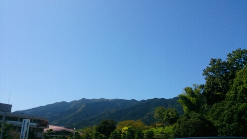 d0320279_2024130.jpg