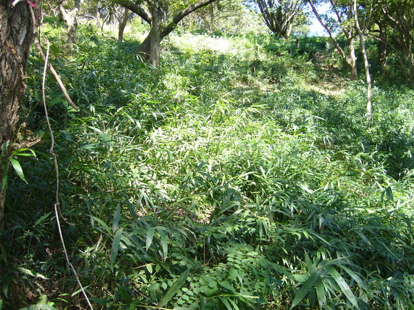 f0222687_23514225.jpg