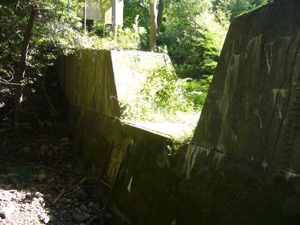 f0222687_2355159.jpg