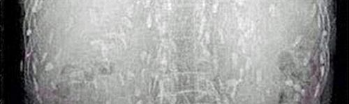 c0170789_10335168.jpg