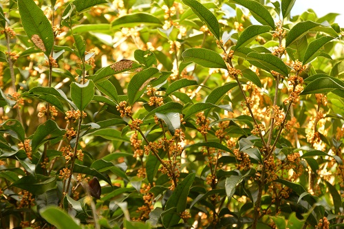 f0268294_14055126.jpg