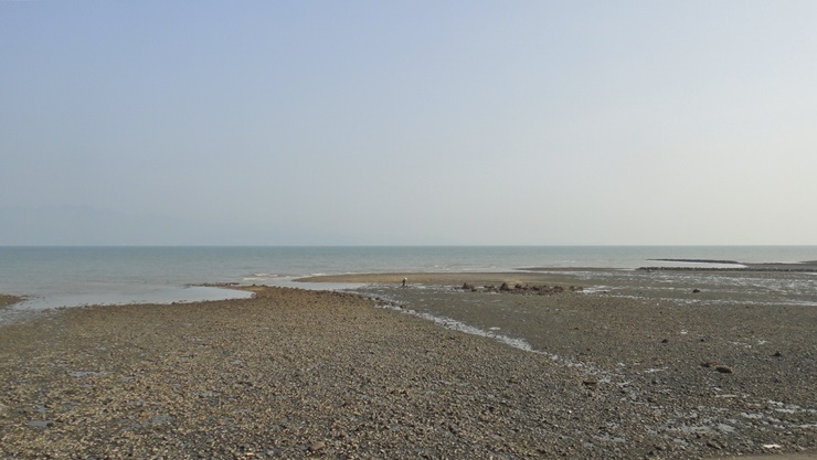 d0004301_9018100.jpg