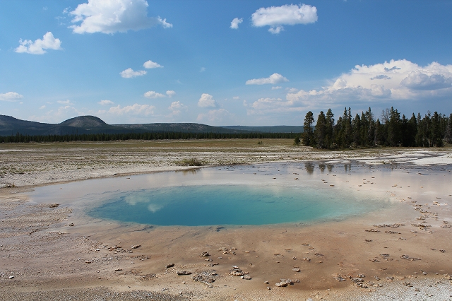 c0153302_16251902.jpg