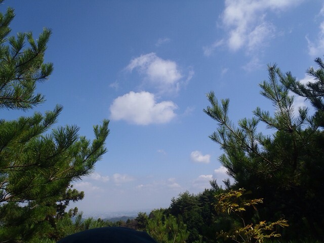 b0326303_23393799.jpg