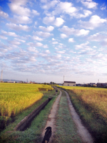 d0077603_7573254.jpg