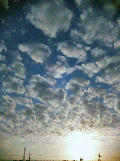 d0077603_757387.jpg