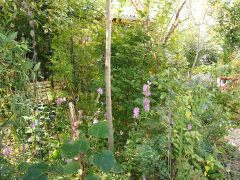 c0117007_14332538.jpg