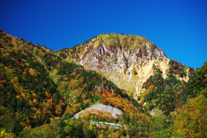 a0263109_2133314.jpg