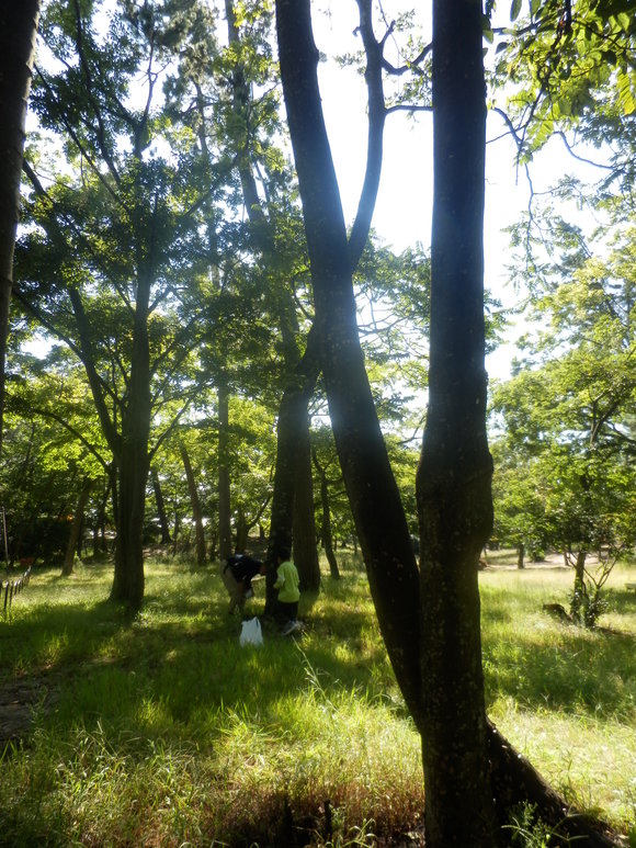 c0062511_1241087.jpg