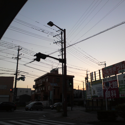 e0099212_2285690.jpg