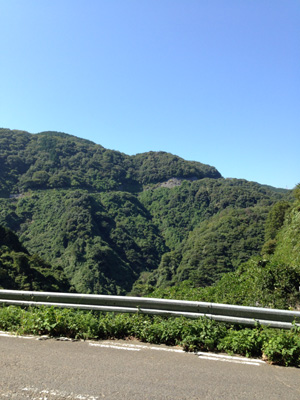 c0227720_1772254.jpg