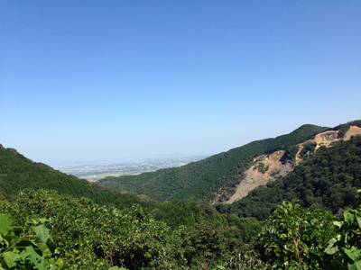 c0227720_1773743.jpg