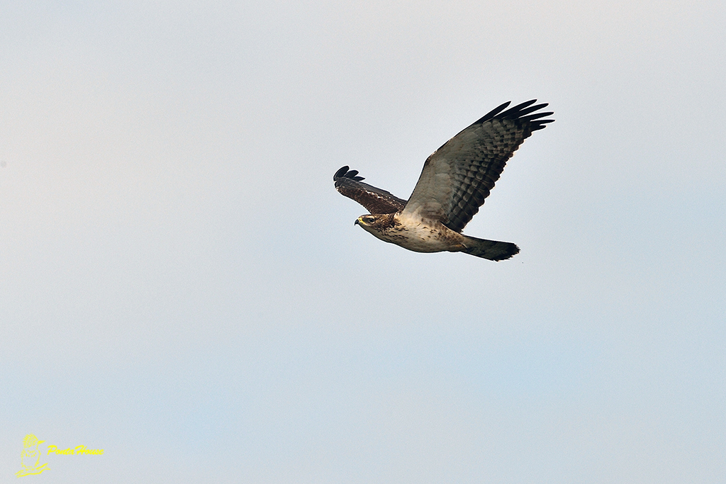 b0208227_8524355.jpg