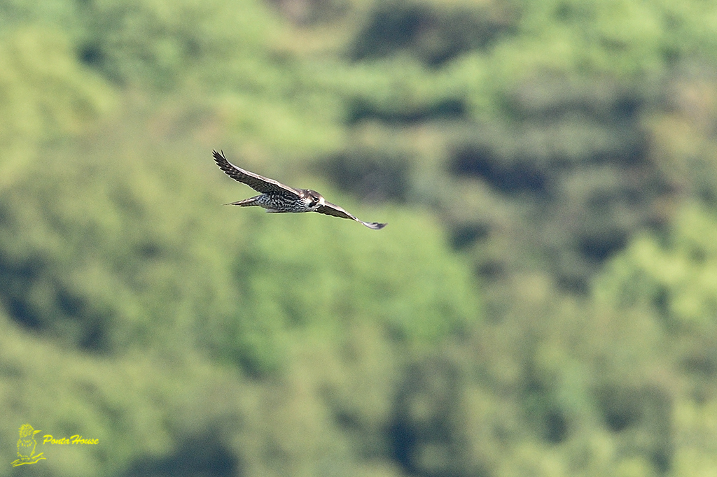 b0208227_9201599.jpg