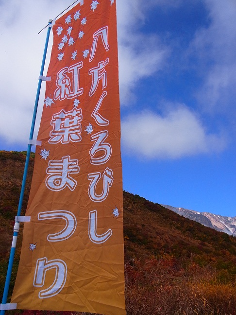 c0225927_15394948.jpg
