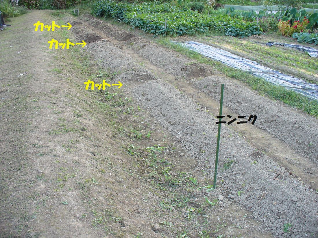 f0346527_22201894.jpg