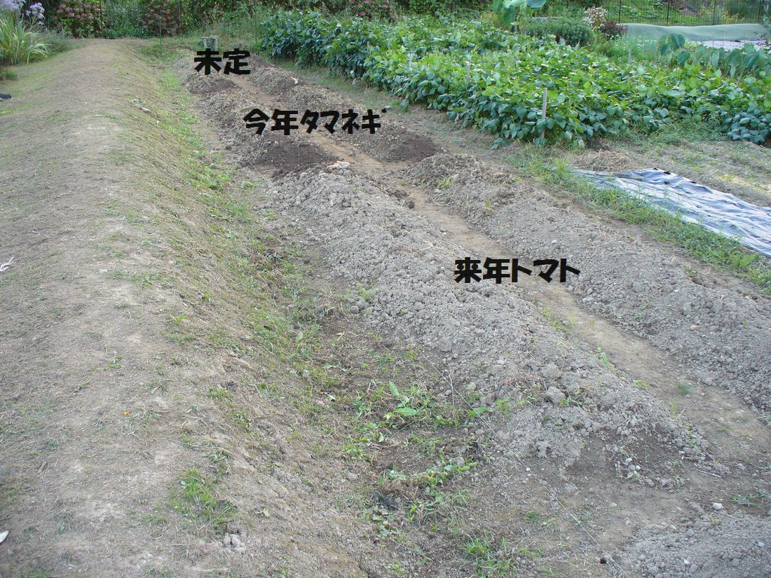 f0346527_22211387.jpg
