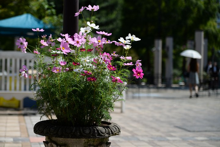 b0134829_1710852.jpg