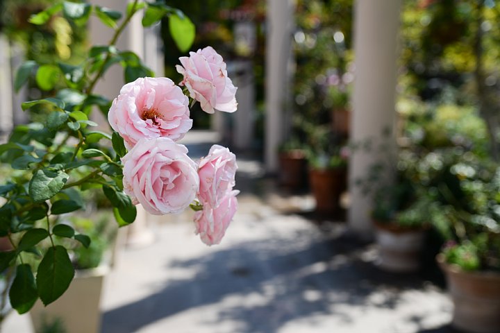 b0134829_17151150.jpg