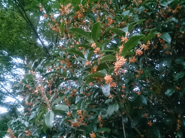 b0138430_10404238.jpg