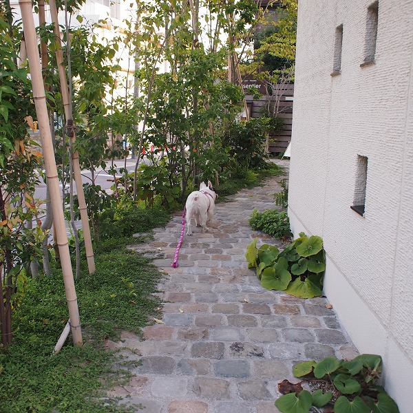 a0148431_12122858.jpg