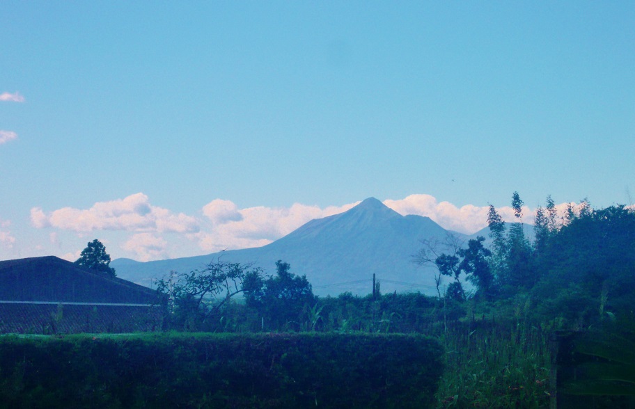 a0206332_21272698.jpg