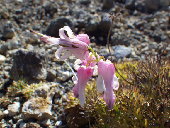 f0118332_22461373.jpg