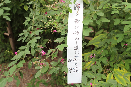 d0033734_19352484.jpg
