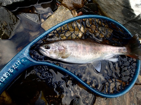 f0280739_19152713.jpg
