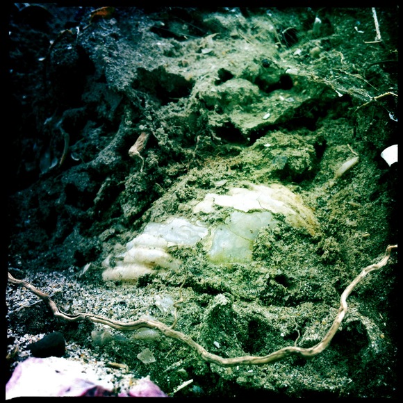 c0312349_15444459.jpg