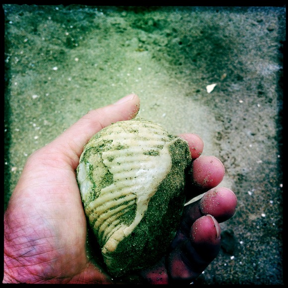 c0312349_15573370.jpg