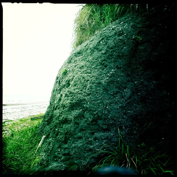 c0312349_16241256.jpg