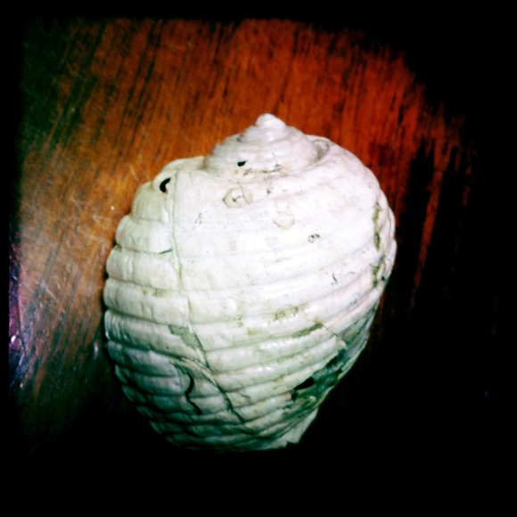 c0312349_1842284.jpg
