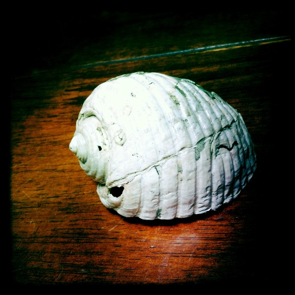 c0312349_18424854.jpg